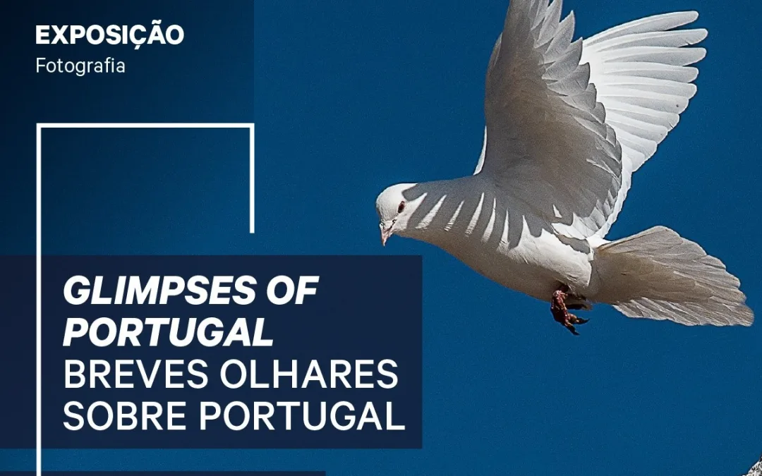 Lagoa: Exposição de Fotografia | Glimpses of Portugal