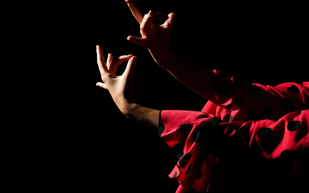 Faro: Projeto “Flamenco Sem Fronteiras”