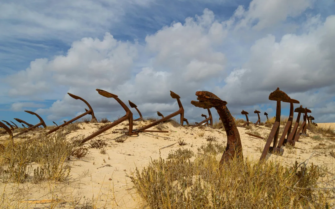 Colisão entre comboios turísticos na Praia do Barril