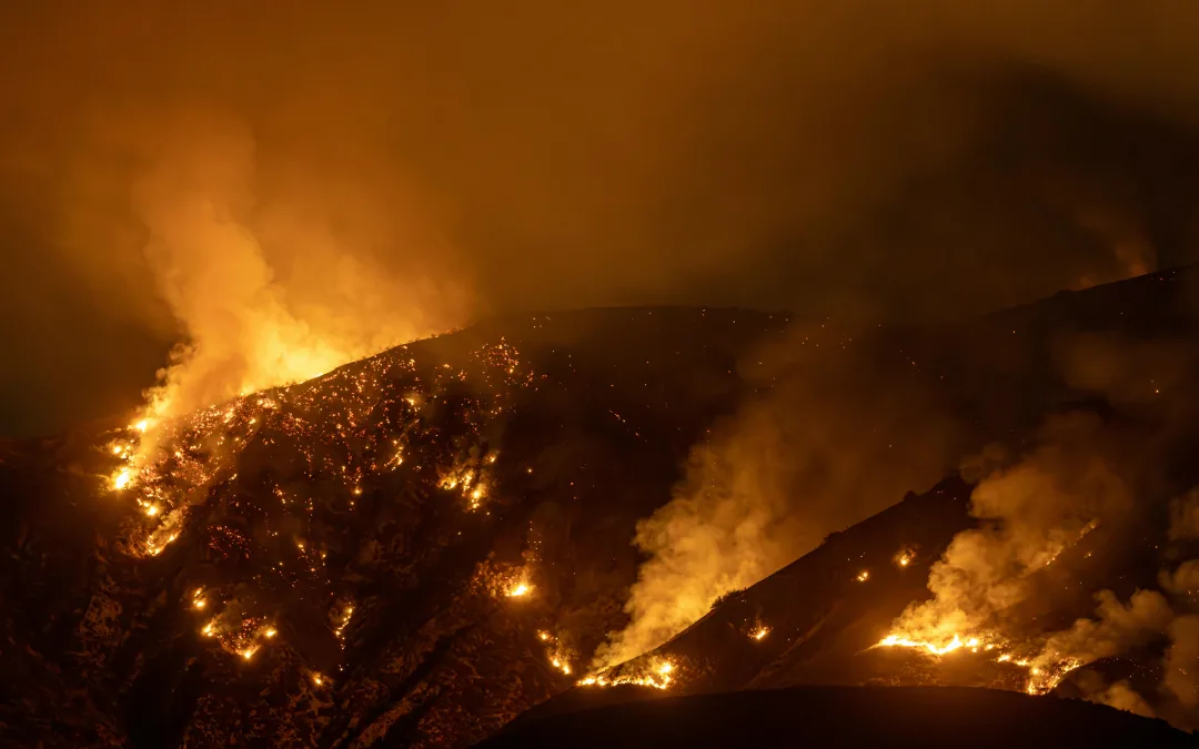 Incêndios no Algarve: 58 ocorrências durante o período de alerta máximo