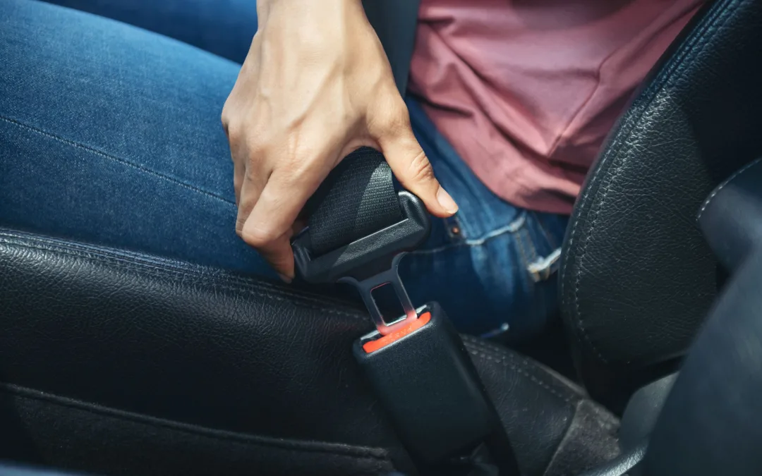 Lançamento da Campanha Cinto-me Vivo