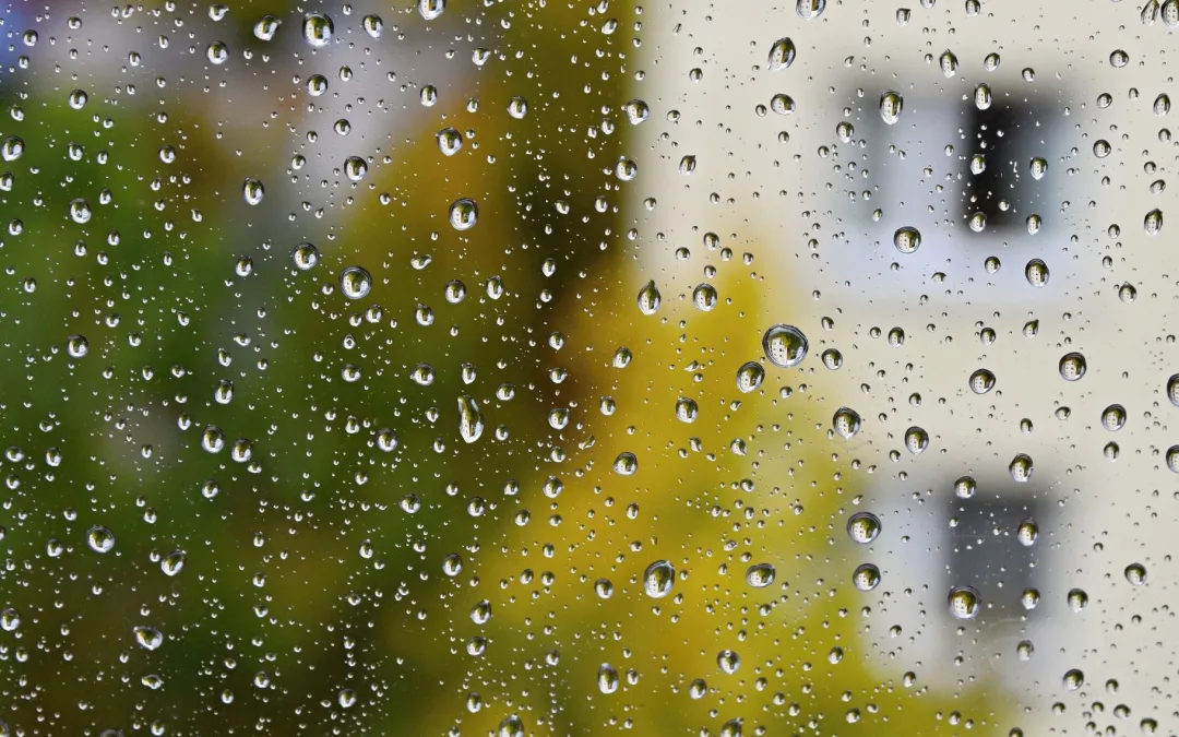 Chuva regressa ao continente a partir de domingo 