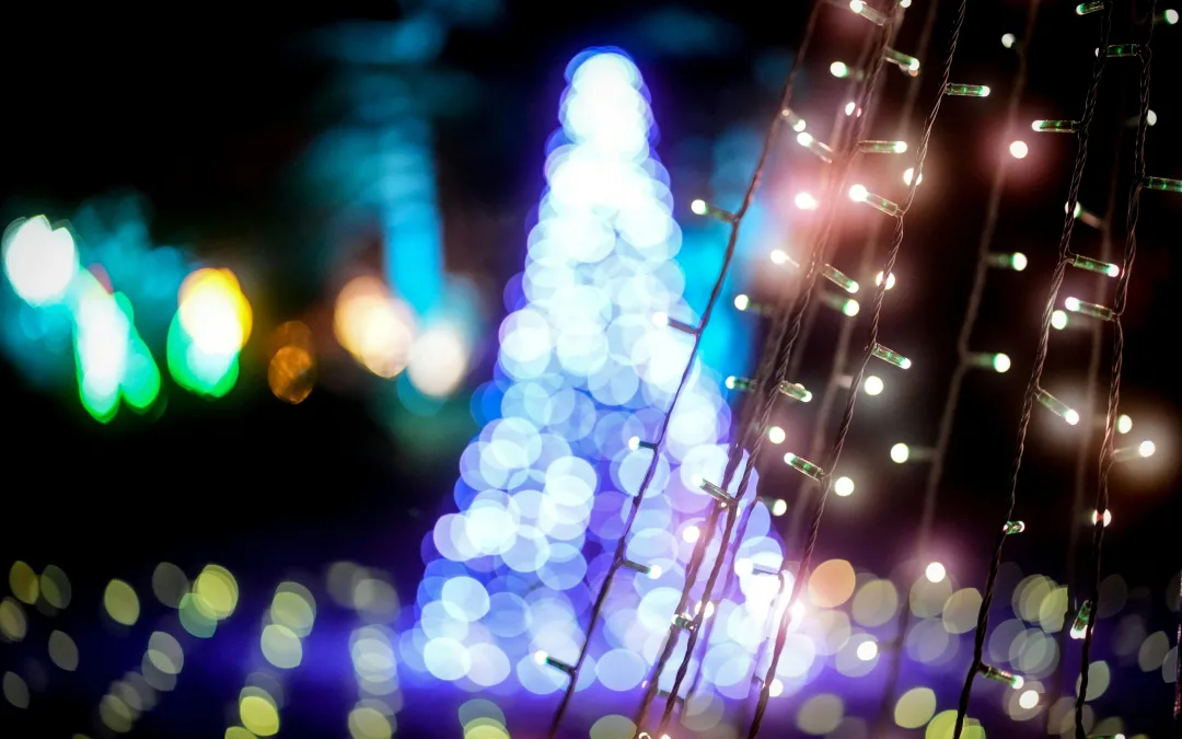 XXIII Encontro de Janeiras traz tradição e musicalidade à Praça Al-Muthamid