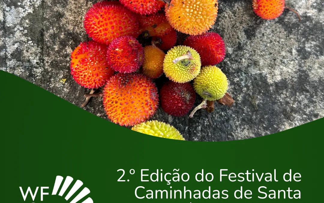 II Festival de Caminhadas de Santa Bárbara de Nexe