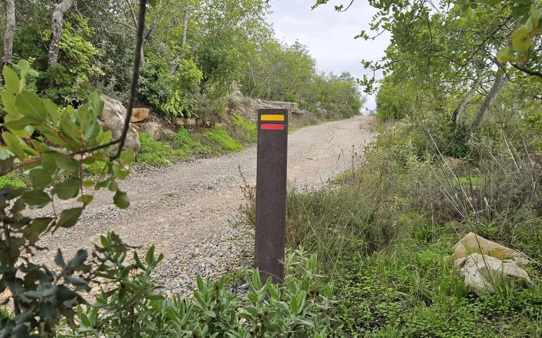 Faro avança com marcação de novos percursos pedestres