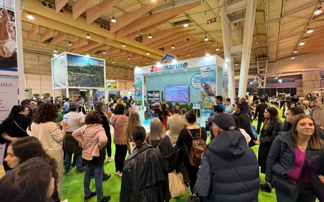 Zoomarine regressa à BTL com descontos e passatempos