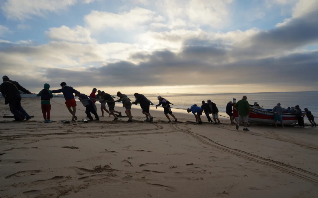 Lagos quer preservar a Arte Xávega Tradicional da Meia Praia