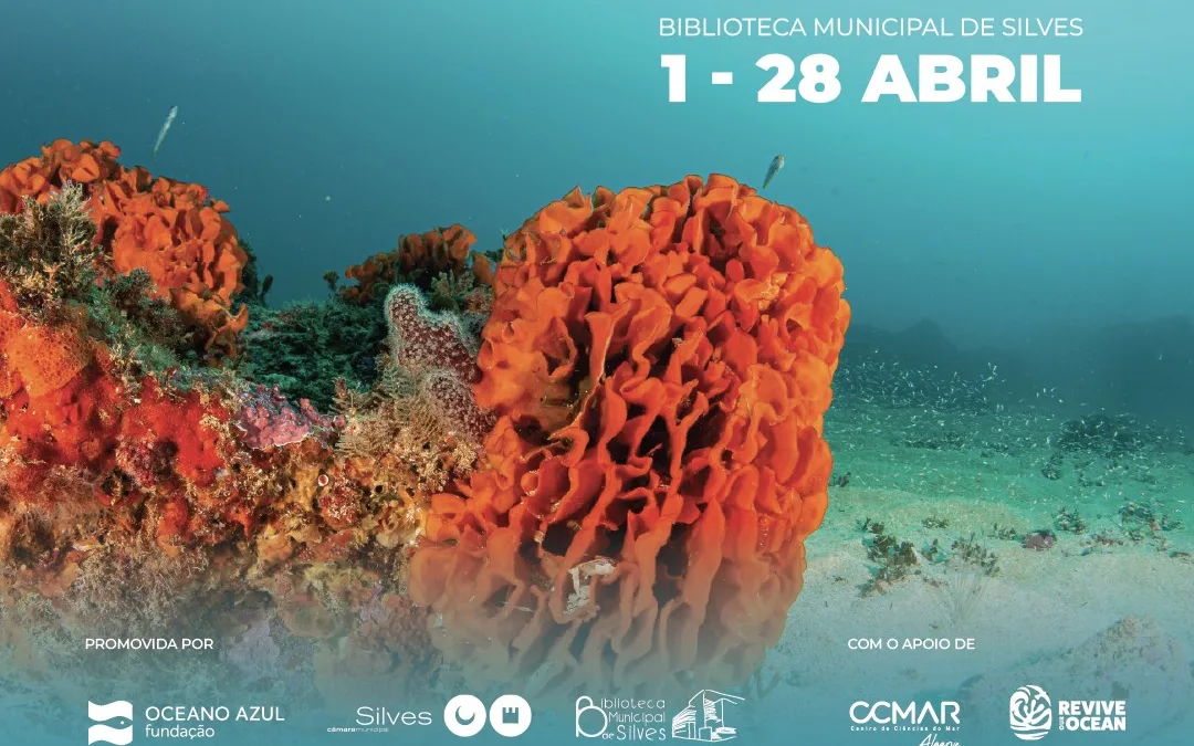 Exposição sobre Parque Natural Marinho do Algarve na Biblioteca de Silves