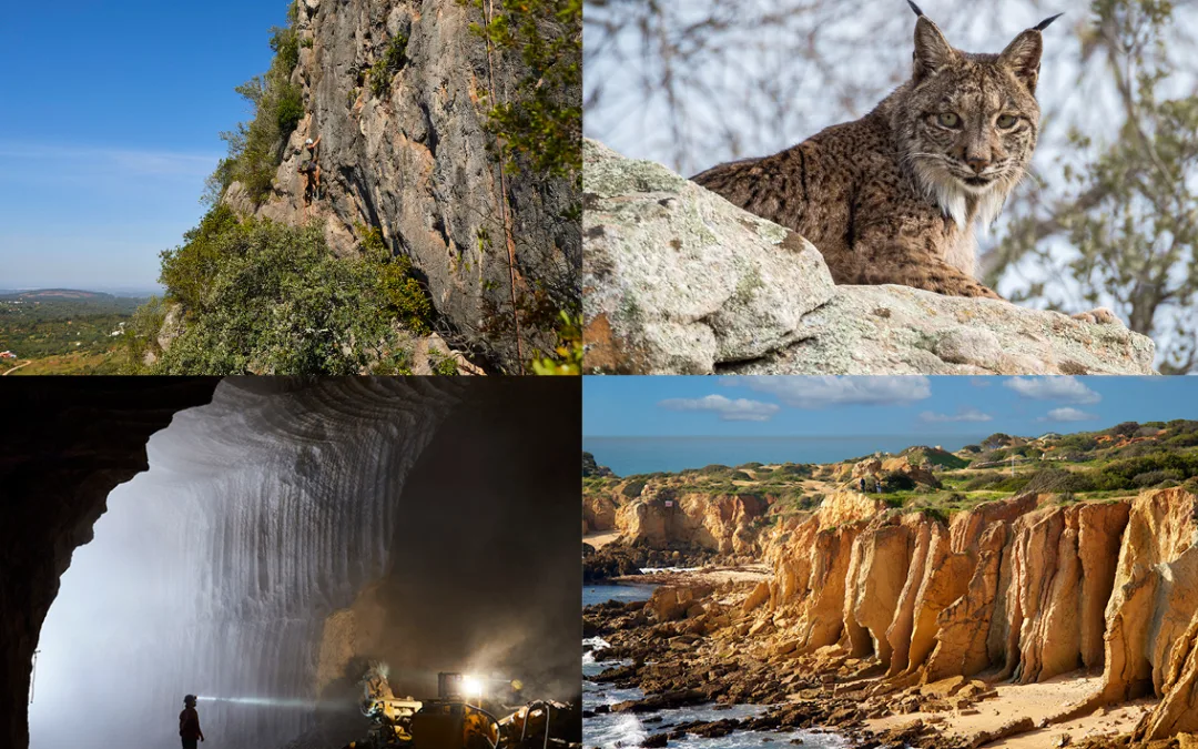 Geoparque Algarvensis torna-se Geoparque Mundial da UNESCO