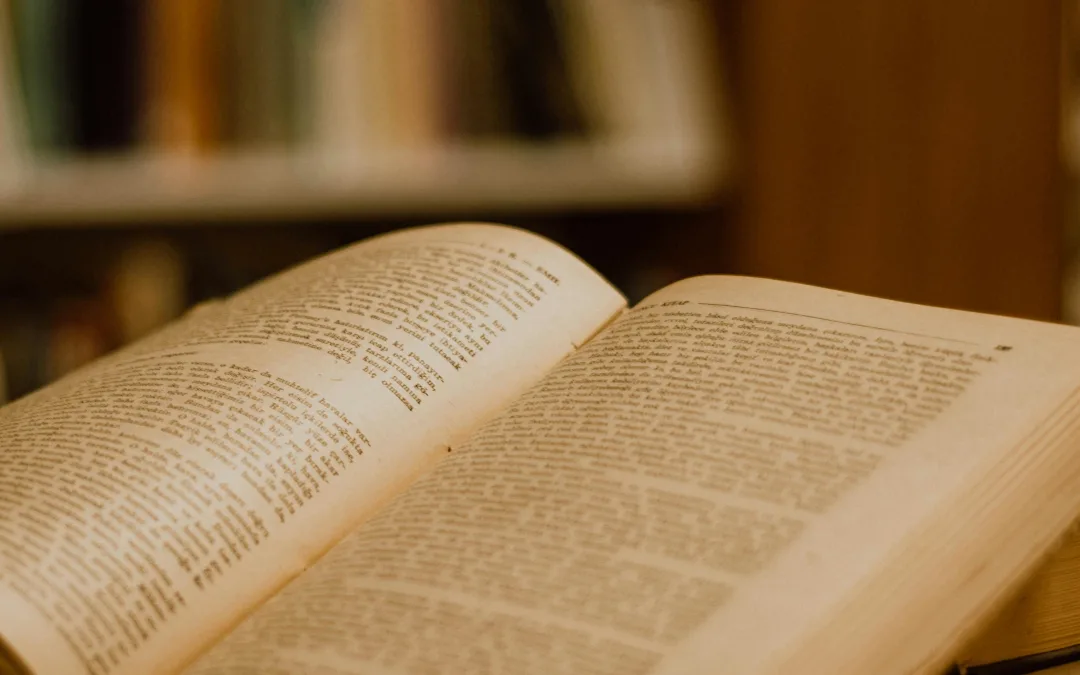 Biblioteca Municipal de Faro promove leitura e criatividade em junho