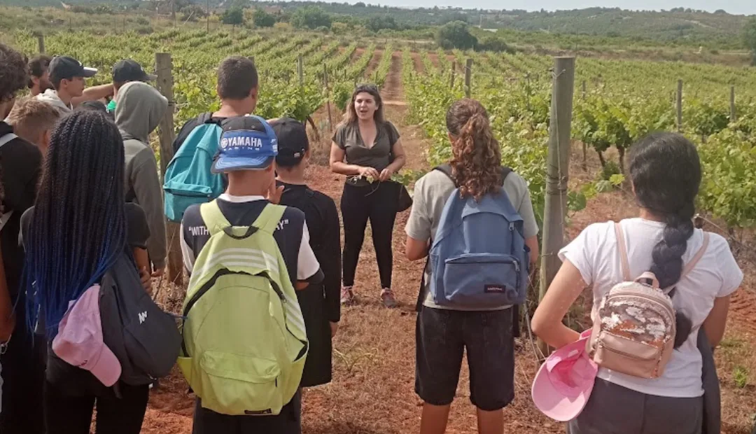 Alunos de Silves descobrem as estórias por trás das uvas