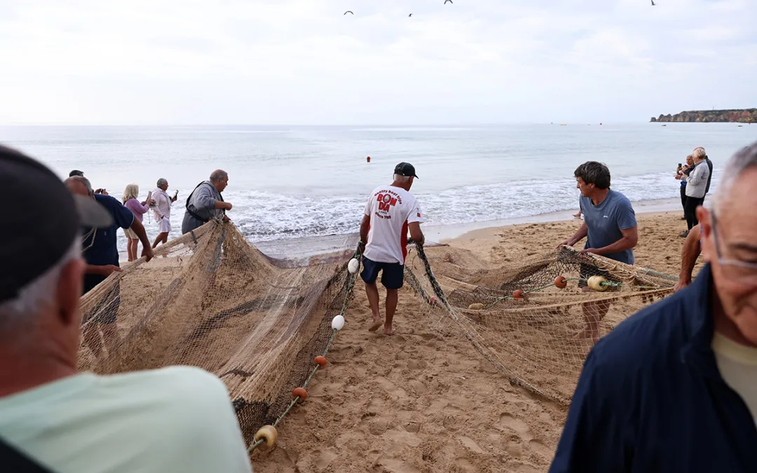 Arte Xávega da Meia Praia ganhou nova vida