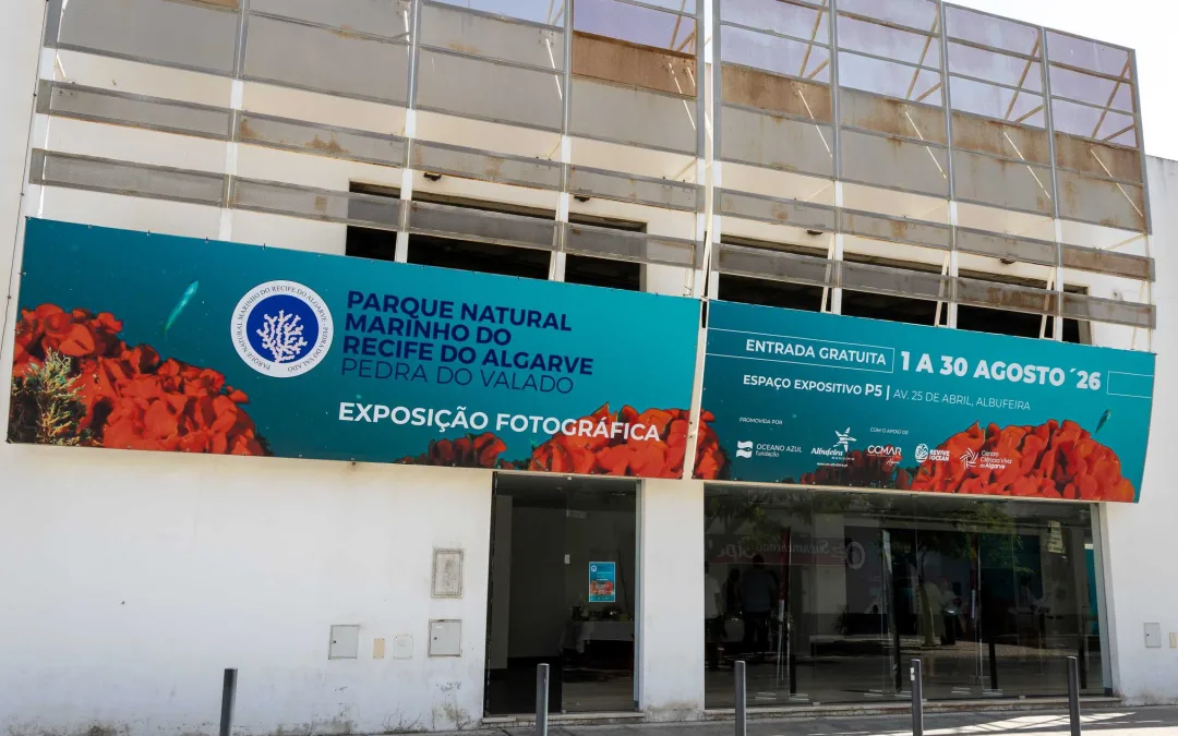 Recife do Algarve inspira nova exposição fotográfica em Albufeira