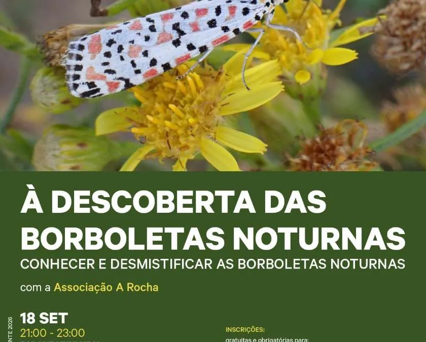 Lagoa promove atividade sobre borboletas noturnas em Estômbar