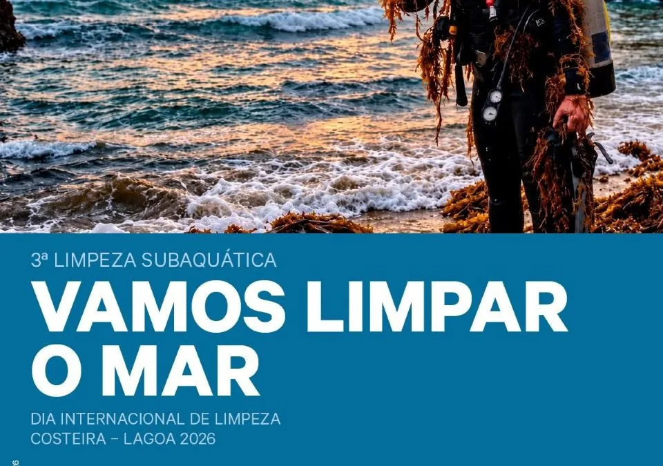 Município de Lagoa promove 3.ª Limpeza Subaquática em Ferragudo
