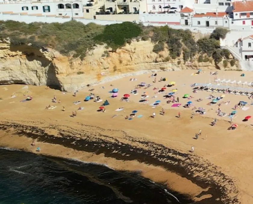 Lagoa aposta em ação-piloto na Praia do Carvoeiro para combater a alga invasora
