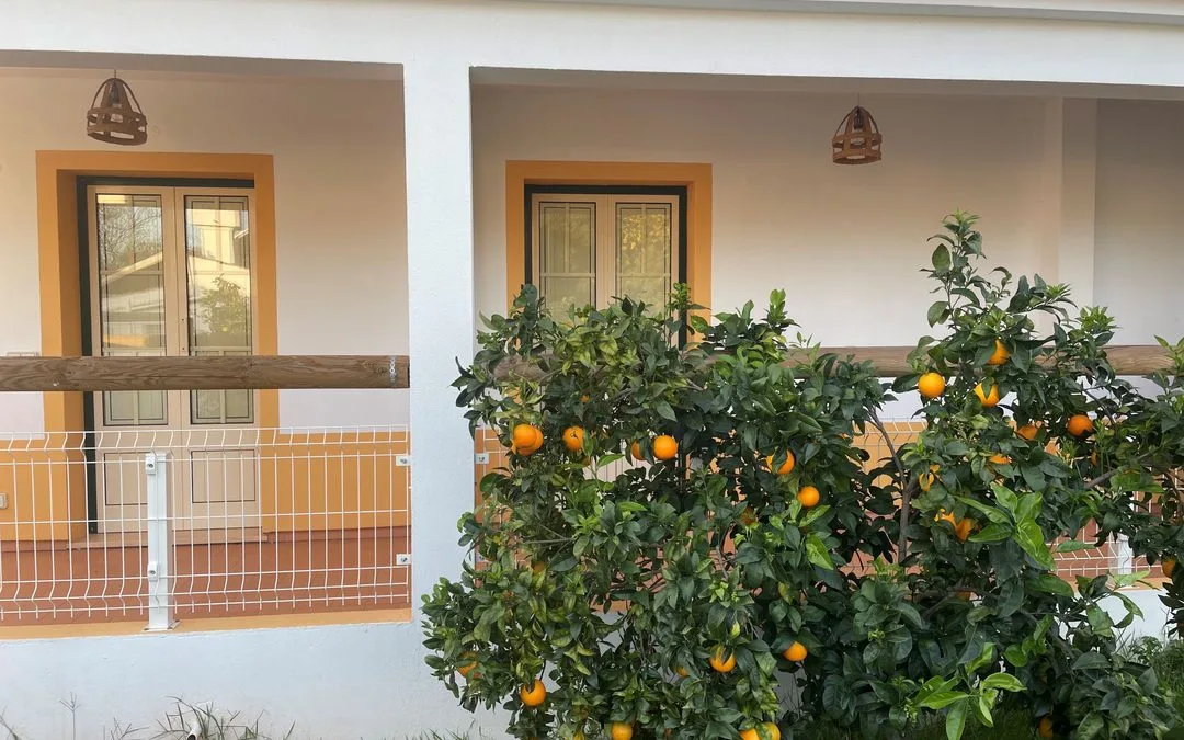 GAL Algarve Central abre candidaturas para investimentos em diversificação e comércio rural